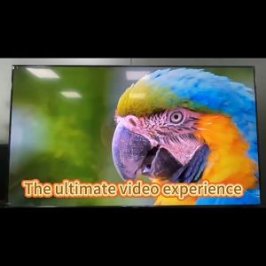 NEW กล่องแอนดรอย tv TV98 PRO RAM8G+ROM128GB Wi-Fi 5g Netflix Android 14 8K/HD TV BOX รองรับWifi กล่อง ดิจิตอลtv Smart TV Box ดิจิตอล tv box