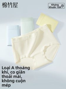 B&C.Room | Antibacterial Comfortable High Waist Breathable Cotton Womens Briefs