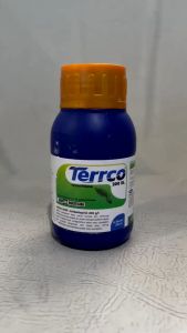 TERRCO 200 SL 250ML PEMBASMI RAYAP