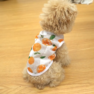 Áo ba lỗ cho Chó mèo bằng vải lưới thoáng mát kèm khoen móc dây dắt (mẫu mới) - Hara Pet Store