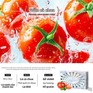 CAR MATE | Túi Xông Hương Ô Tô Khử Mùi