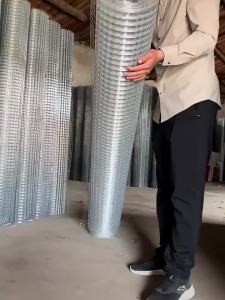 Galvanized Electro Welded Wire Mesh Small Hole Rodent and Snake Protection
