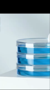 500pcs/box disposable petri dish 1 channel 90mm High quality sterile petri dish sterile petri dish
