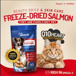 Qube10[Q10 Heart Protect] Freeze-Dried Salmon Yogurt Dog Cat Food | Probiotics + Cranberry | Digestive + Picky Eaters