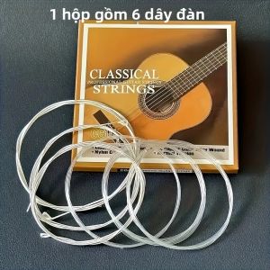 Bộ Dây Đàn Guitar Cổ Điển CG-01 Nylon 6 Dây Hợp Kim Đồng Mạ Bạc Dành Cho Guitar Cổ Điển