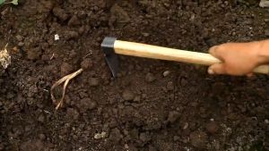 Pacul Taman Kebun 2In1 Cangkul Garpu Peralatan Berkebun Gagang Kayu