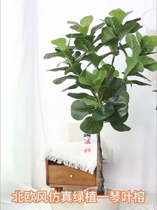 ส่งจากไทย ต้นไม้ปลอม ต้นไทรใบสัก 3ขนาด(ไม่รวมกระถาง)