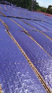 Đặc sản Mỳ Chũ rau củ Bắc Giang eatclean ăn kiêng ăn chay túi 1kg 5 vắt mì