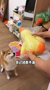 Duck dog toy chew resistant durable dog toy with quacking sound teeth grinding relief soft companion for small large dog