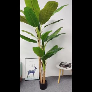 ต้นไม้มงคลเทียม สไตล์นอร์ดิก ต้นกล้วยประดิษฐ์ ขนาดสูง120/150/180 ซม. น้ำหนักเบา เคลื่อนย้ายสะดวก ของตกบ้านภายใน ภายนอก