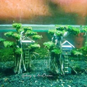 hiasan aquarium rumah pohon gantung aquascape