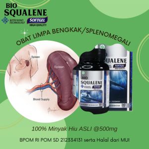 Obat limpa bengkak Obat splenomegali Obat limpa Obat limpa dan hati Obat limpa pecah Obat tumor limpa Obat pembesaran limpa Obat limpa membesar obat limpa bengkak di apotik obat limpa bengkak limpa dgn Bio Squalene