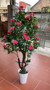 Cây hồng trà giả - cao 160cm - Cây giả hoa lụa Decor trang trí nhà cửa