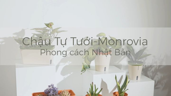 Chậu trồng cây tự tưới Monrovia, phong cách Nhật Bản, sang trọng, trang ...