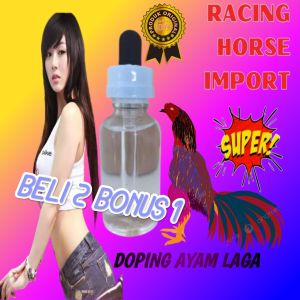 Promo.. Racing horse Original doping hewan ayam Bangkok jago tarung strong power full Super laga.
