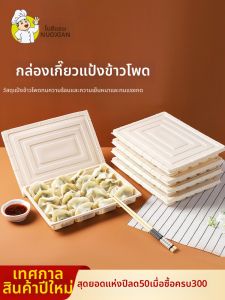 NUOXIAN | Eco-Friendly Biodegradable Cornstarch Dumpling Takeout Box