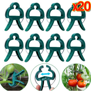 20Pcs Plant Fixed Clips Reusable Garden Greenhouse Bracket Garden Plants Vine Climbing Clamp Flower Tomato Support Fastener