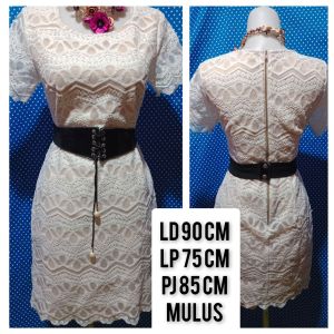 DRESS LENGAN PENDEK BRUKAT PUTIH 235