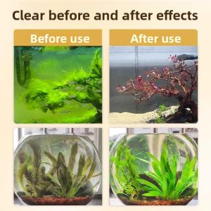 MONLEYTA | Algae Remover For Aquarium Green Water Treatment Brown Algae Removal Tablet Fish Tank Cleaner Net Qing苔 Clearing Agent