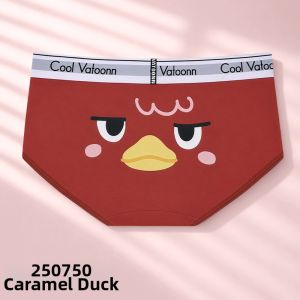 Vatoonn | Plus Size Women Tummy Control Comfortable Combed Cotton Mid Waist Briefs Everyday Wear