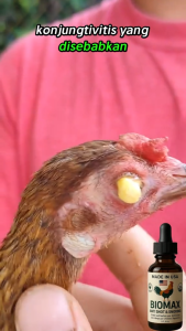 BIOMAX-Botol 30ml- Membantu Meningkatkan Daya Tahan Tubuh Unggas Mencegah Penyakit dan Memberikan Vitamin serta Mineral yang Diperlukan