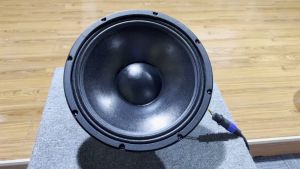 Padon 12 inch subwoofer dual magnet professional speaker 8Ω 1000w 100 cores