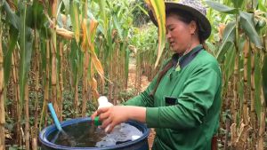 นุชฟอร์ไลฟ์ เน็ก-2 ขนาด 100cc 1 ขวด อาหารเสริมพืช/ปุ๋ย