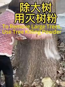 500g Powerful Tree Root Killer - Effective on Bamboo Weeds| Fast-Acting Vegetation Control Solution for Gardens & Lawns