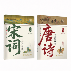 AOOCOO | Practice Calligraphy Booklet Chinese Classics Selected Poems Xingshu Kaishu Beginner Training Red Copybook
