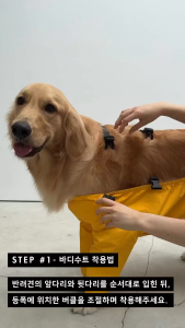 Andblank® Bodysuit บอดี้สูทสำหรับสัตว์เลี้ยง กันเลอะ และเห็บหมัด ที่นอนหนึ่ง สุขสันต์และงบประมาณสูง