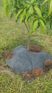 Tấm Vải Phủ Gốc Chống Cỏ 1mx1m  Thấm nước Tốt và Tặng kèm ghim