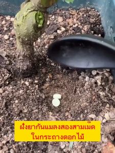 เม็ดใช้ได้ 120 วัน - Hydra ยาเชื้อรา พืช 40g (200 เม็ด) ฆ่าแมลงเท่านั้น ไม่ทำร้ายพืช กำจัดแมลงได้กว้างขวาง เพลี้ยไฟ แมลงหวี่ขาว ยาฆ่าเพลี้ย ยาเพลี้ย ยากำจัดแมลงพืช สารกำจัดแมลง ยาฆ่าเพลี้ยแป้ง ยาฆ่าเพลี้ยอ่อน ยาฆ่าแมลงกินใบ