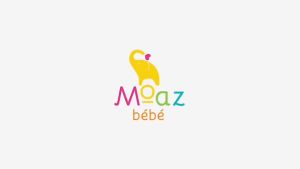 Máy hâm sữa thông minh siêu tốc Moaz BéBé MB-033