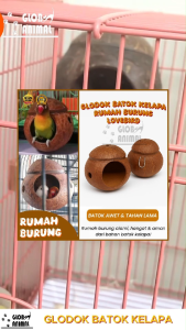 GLODOK BATOK KELAPA rumah burung lovebird glodok burung kenari murai