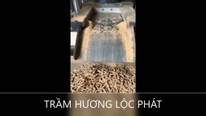Hộp 15 Vòng Nhang Trầm Hương Nén Hình Vân Mây Cao Cấp Trầm Hương Quảng Nam