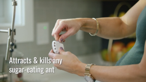 thuốᴄ diệt kiến Terro