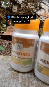 Mengkudu HNI HPAI Original - Menurunkan Darah Tinggi