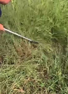 Peralatan Perkebunan Alat Sabit Kapak Ganda 2in1 Pembelah Bambu Pemangkas Rumput Pisau Babatan Pemotong Ranting Pohon Arit Padi