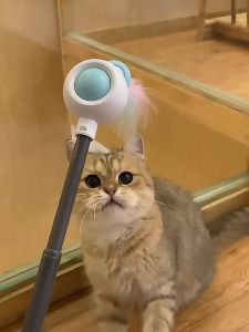 *POP.POP SG Local Stock* 3-in-1 Retractable Cat Laser Teaser Toy Feather & Ribbon Options