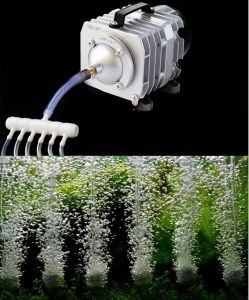 Máy sục khí bể cá HaiLea ACO 208 25W siêu êm bền đẹp cung cấp đủ dưỡng khí giúp cá nhanh lớn. BH uy tín