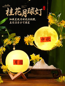 ไฟดวงจันทร์ดอกไม้กุหลาบ DIY แฮนด์เมด ตกแต่งบรรยากาศ วัสดุ กลวง ไฟ LED ไฟประดับตกแต่ง งานปีใหม่ งานปีใหม่