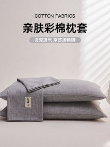 Non-Cotton Pillowcases Pair Home Use Colored Cotton Pillow Core Inner Case 48cmx74cm Spring 2024 New Style Universal Bedding