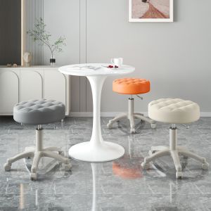 Rotating & Elevating Salon Chair