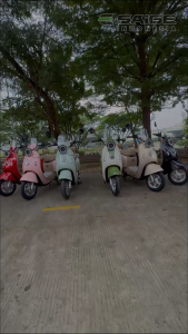 Sepeda Listrik Saige Cappucino