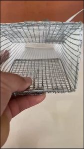 Bẫy Rắn Mối Dài 30cm Rộng 10cm