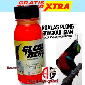 GLEDEK NEKTAR PAKAN BURUNG KOLIBRI BURUNG PLECI