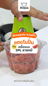 เครื่องบดเนื้อ ลายหมี สีเขียว เครื่องบดอเนก เครื่องบดสับ เครื่องบดอาหาร ราคาที่สมบูรณ์