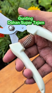 ( MY ACC ) Gunting Dahan Potong Ranting Mini Pruning Scissors Shears Mata Pisau Tajam Pemetik Buah