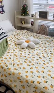 [FREESHIP❤️] CHĂN Hè Cotton Đũi Hàn Quốc Cực Mềm Mịn Chăn Sơ Đậu Nành Nhập Khẩu Mền Lẻ Chăn Lẻ Chăn Hè Chăn Bông