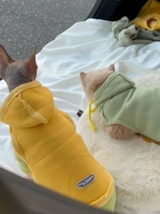 Thickened Fleece Autumn Winter Pet Sweatshirt for Cats And Small Dogs Warm Unlined Hooded Jacket Teddy Dog Clothes